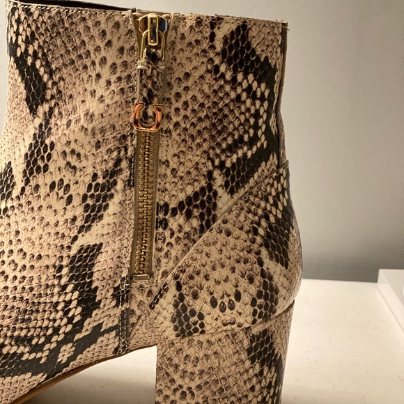 Size 9 Cole Haan sightly textured snake skin booties with gold accents. - Picture 3 of 6